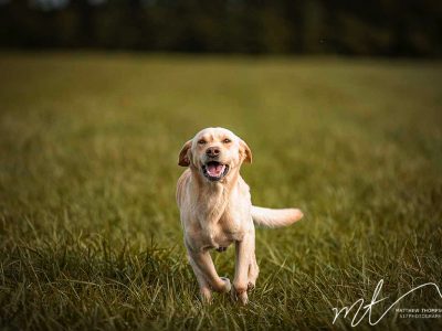 Marley