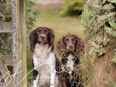 Charlie and Ripley