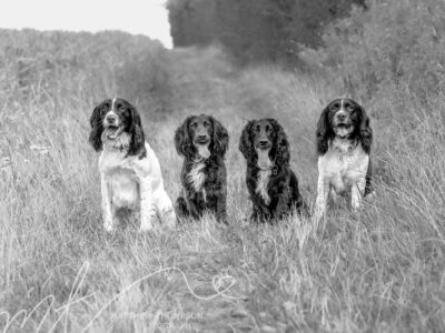 Fiona Freeman